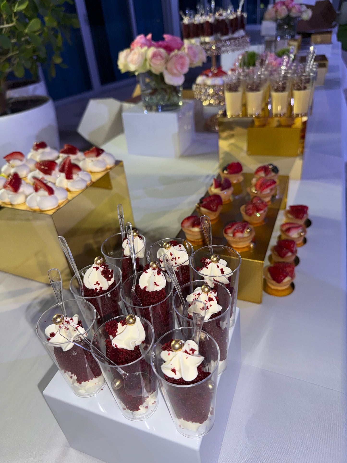 Shots Dessert